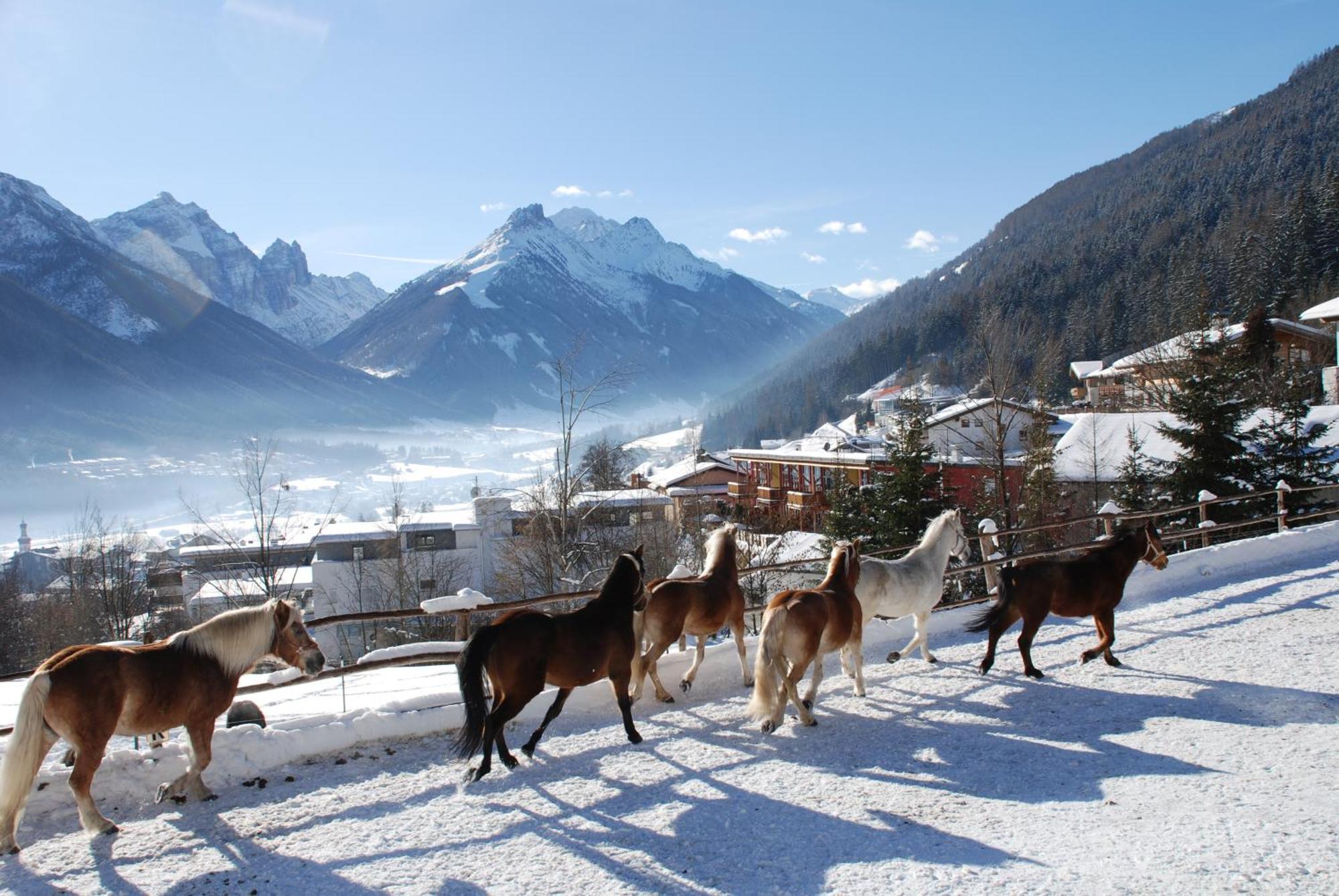 Kassnhof - Urlaub In Den Bergen Apartment Telfes im Stubai Exterior foto