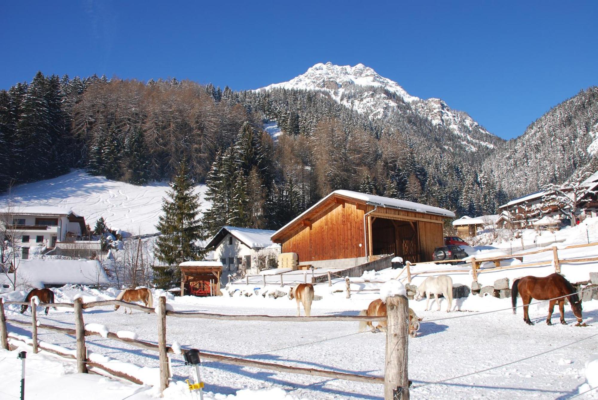 Kassnhof - Urlaub In Den Bergen Apartment Telfes im Stubai Exterior foto